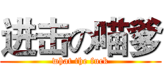 进击の喵爹 (what the fuck)