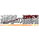 進撃の猫豬 (attack on kitty piggy)