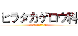 ヒラタカゲロウ科 (Heptageniidae)