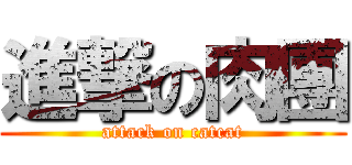 進撃の肉團 (attack on catcat)
