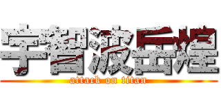 宇智波岳煌 (attack on titan)