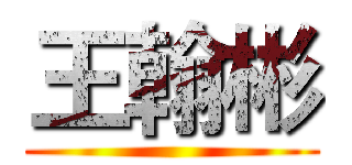 王翰彬 ()