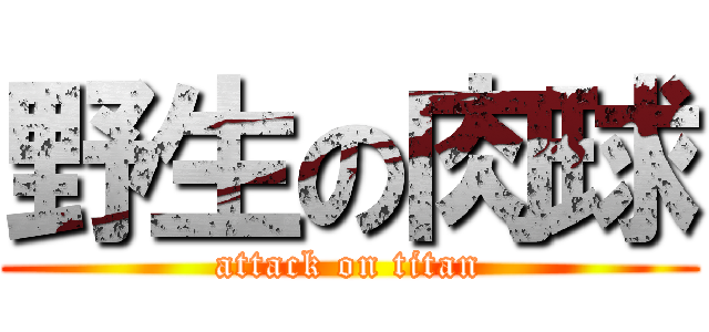 野生の肉球 (attack on titan)