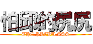怕邱的尻尻 (THE PACHU ASS)
