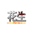 花生 (Kyle)