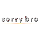 ｓｏｒｒｙ ｂｒｏ ()