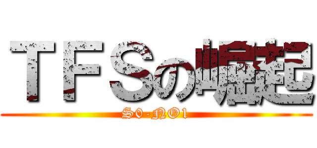 ＴＦＳの崛起 (S0-NO1)