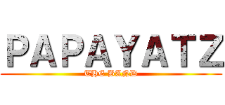 ＰＡＰＡＹＡＴＺ (THE BAND)