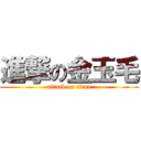 進撃の金玉毛 (attack on titan)