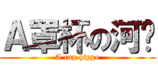 Ａ罩杯の河马 (A cup hippo)