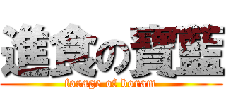 進食の寶藍 (forage of boram)