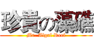 珍貴の藻礁 (Mr. Algal Reef)