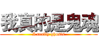 我真的是鬼魂 (I really ghosts)