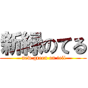 新緑のてる ( new green on tell)