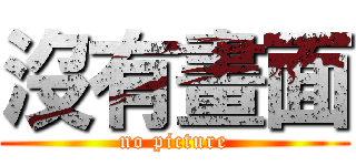 沒有畫面 (no picture)