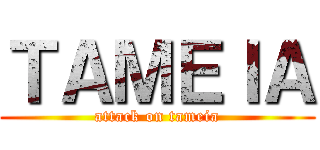 ＴＡＭＥＩＡ (attack on tameia)