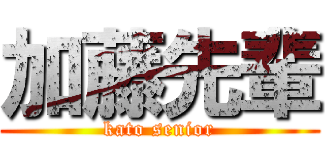 加藤先輩 (kato senior)