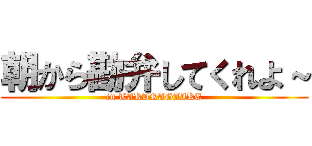 朝から勘弁してくれよ～ (in TAKARAGAIKE)