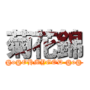 菊花錦 (@o@OHMYGOD @o@)