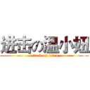 进击の温小妞 (attack on titan)