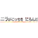 ニラがこっちを にらんだ (attack on titan)