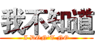 我不知道 (I DON'T NO)
