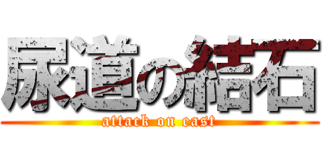 尿道の結石 (attack on east)