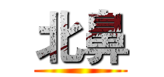 北鼻 ()