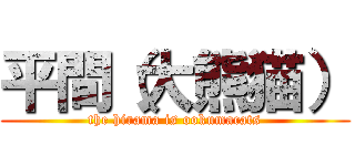 平間（大熊猫） (the hirama is ookumacats)