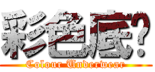 彩色底褲 (Colour Underwear)