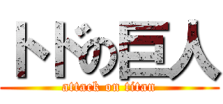 トドの巨人 (attack on titan)