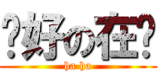 你好の在嗎 (ha ha)