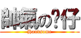 帥氣の貓仔 (Handsome)