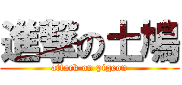 進撃の土鳩 (attack on pigeon)