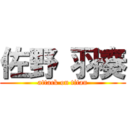 佐野 羽奏 (attack on titan)