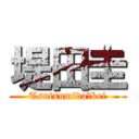 堤田圭 (Tsutsumida　kei)