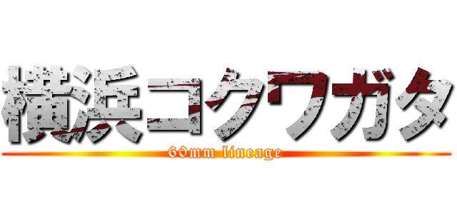 横浜コクワガタ (60mm lineage)