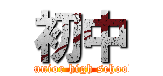 初中 (Junior high school)