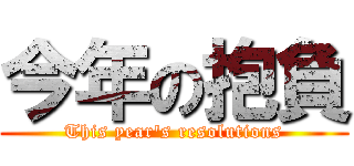 今年の抱負 (This year's resolutions)
