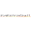 チンポコドッコイショ！！！！┌（｀◇´ ）┘ (TINPOKO)