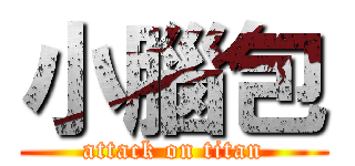 小腦包 (attack on titan)