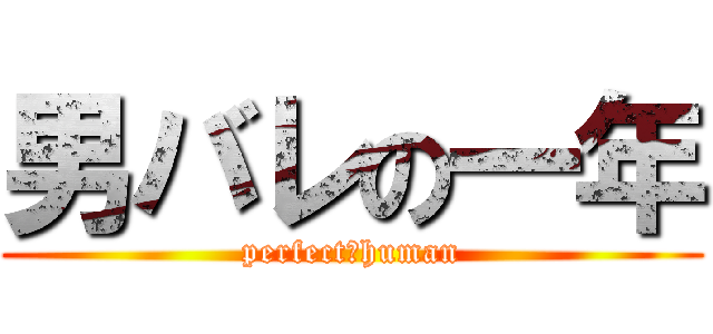 男バレの一年 (perfect　human)
