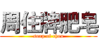 周住牌肥皂 (soap of chou)