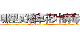 哪里买烟草花叶病毒 (哪里买烟草花叶病毒【电.话186x0156x9662-Q194843976林氏药业】我们做的是长期生意,靠的是老客户长期支持
参考消息网2月20日报道 韩媒称，“剩女多、离婚率高的城市，房价一定会上涨。”这是中国经济学家金岩石2016年12月参加在上海举行的房地产相关论坛时说的话。
)