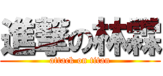 進撃の林霖 (attack on titan)