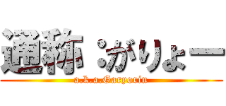 通称：がりょー (a.k.a.Garyorin)