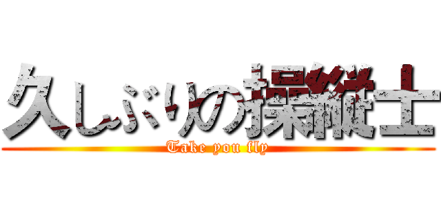久しぶりの操縦士 (Take you fly)