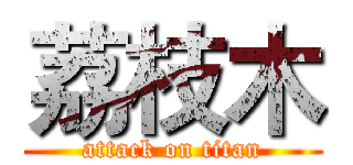 荔枝木 (attack on titan)