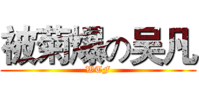 被菊爆の吴凡 (WTF)