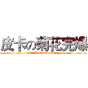 皮卡の菊花完爆 (总攻是鱼鱼bulabulabula)